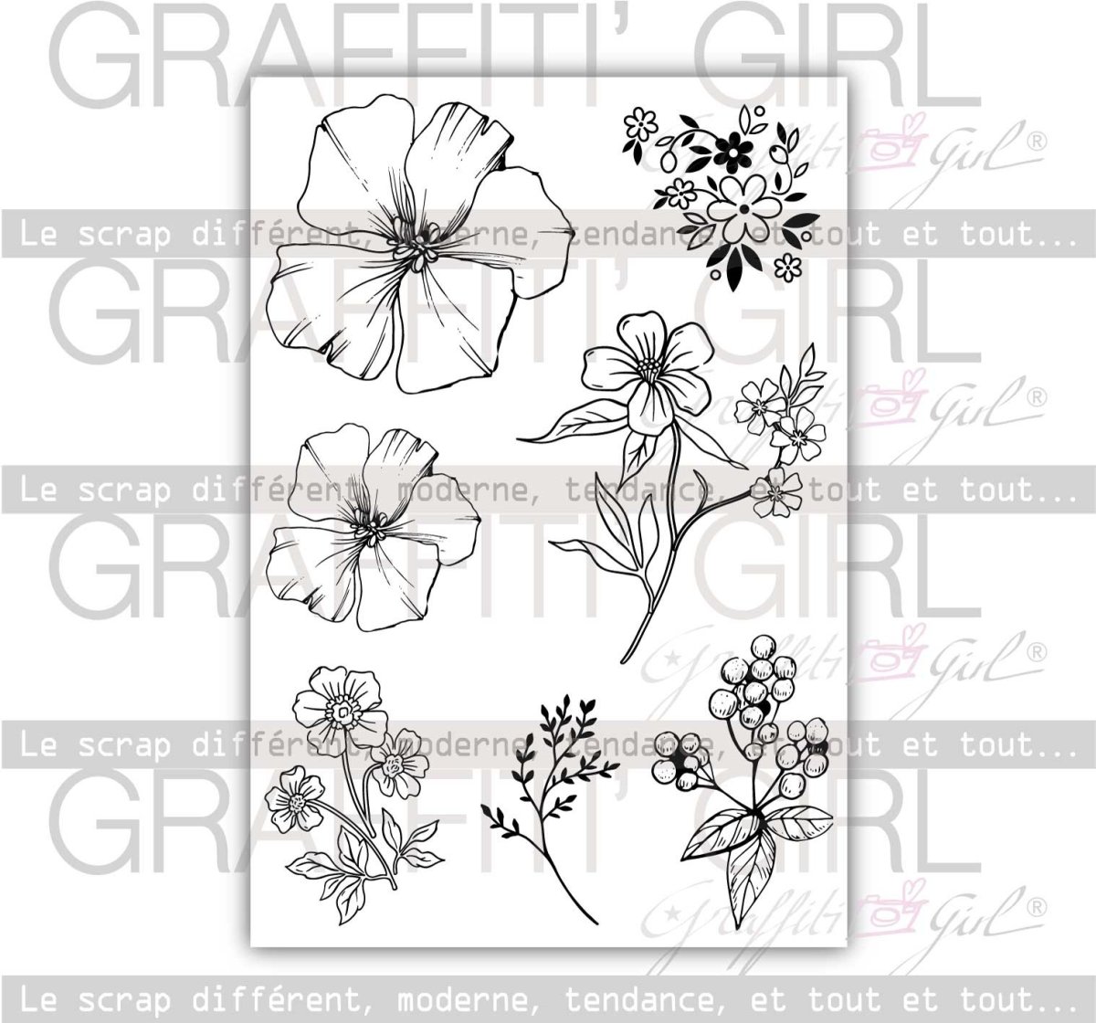 Tampons Transparents Liberty – Image 3