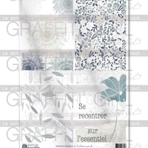 Planche de rhodoïd Cohérence