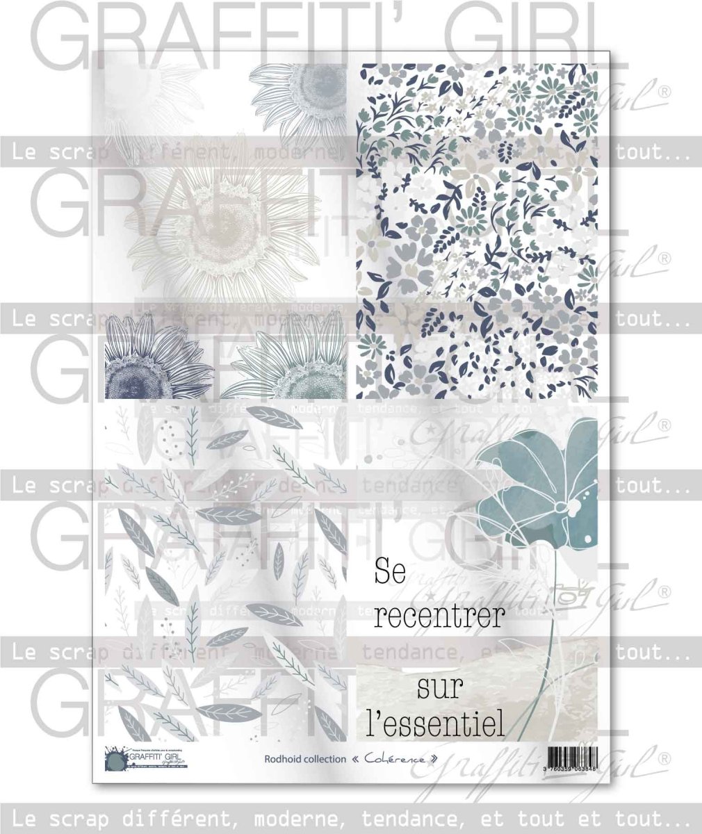 Planche de rhodoïd Cohérence – Image 2