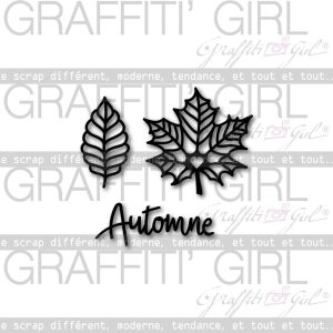 Matrices Dies Cohérence