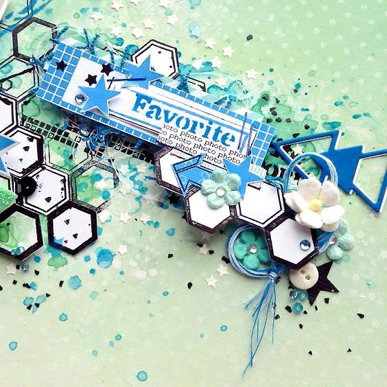 Tampons Transparents Géomavie – Image 6