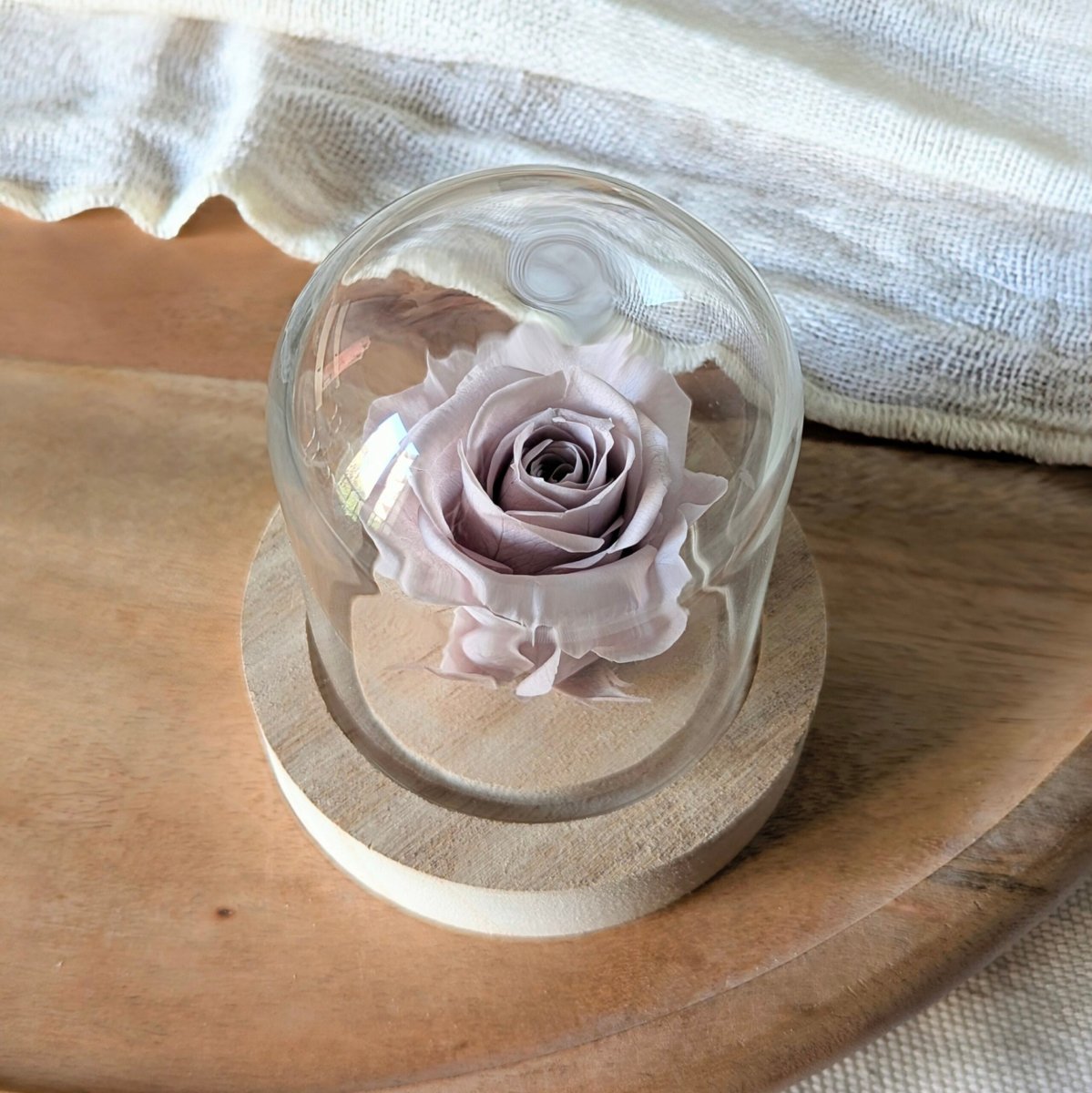 Rose éternelle sous mini cloche en verre, Valentina – Image 8