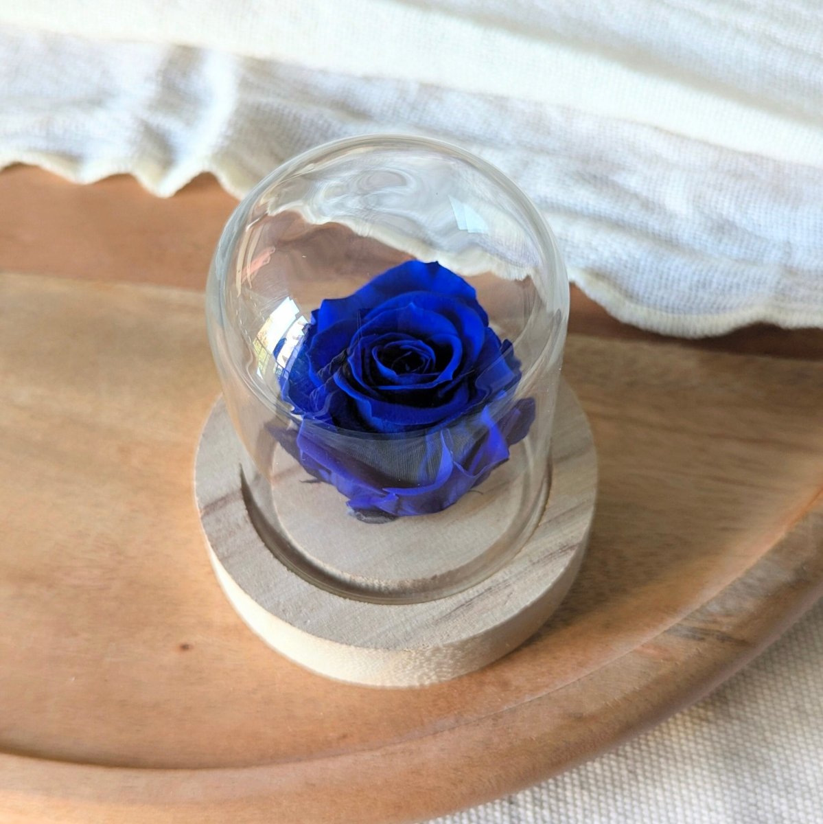 Rose éternelle sous mini cloche en verre, Valentina – Image 5
