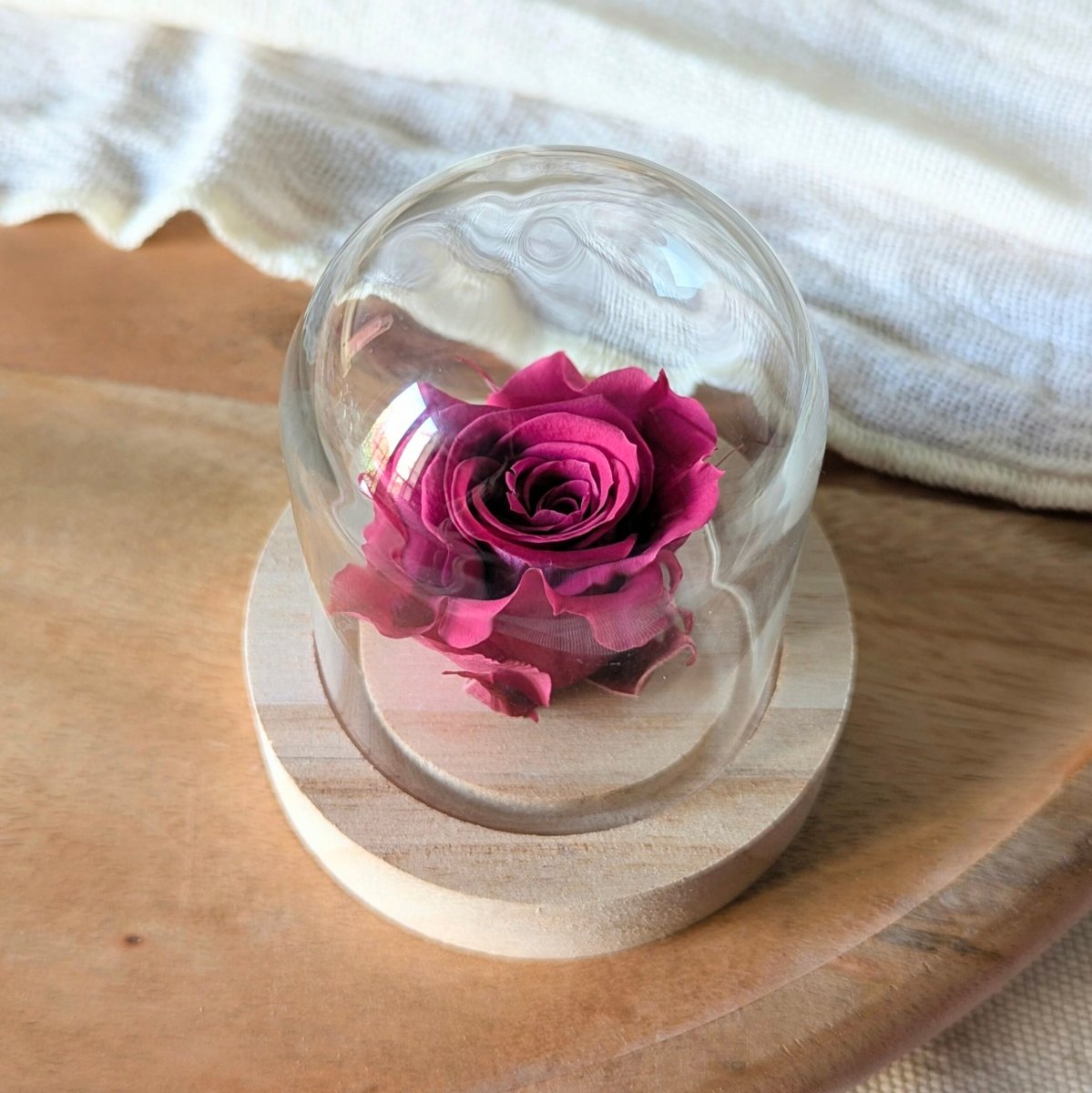 Rose éternelle sous mini cloche en verre, Valentina – Image 9