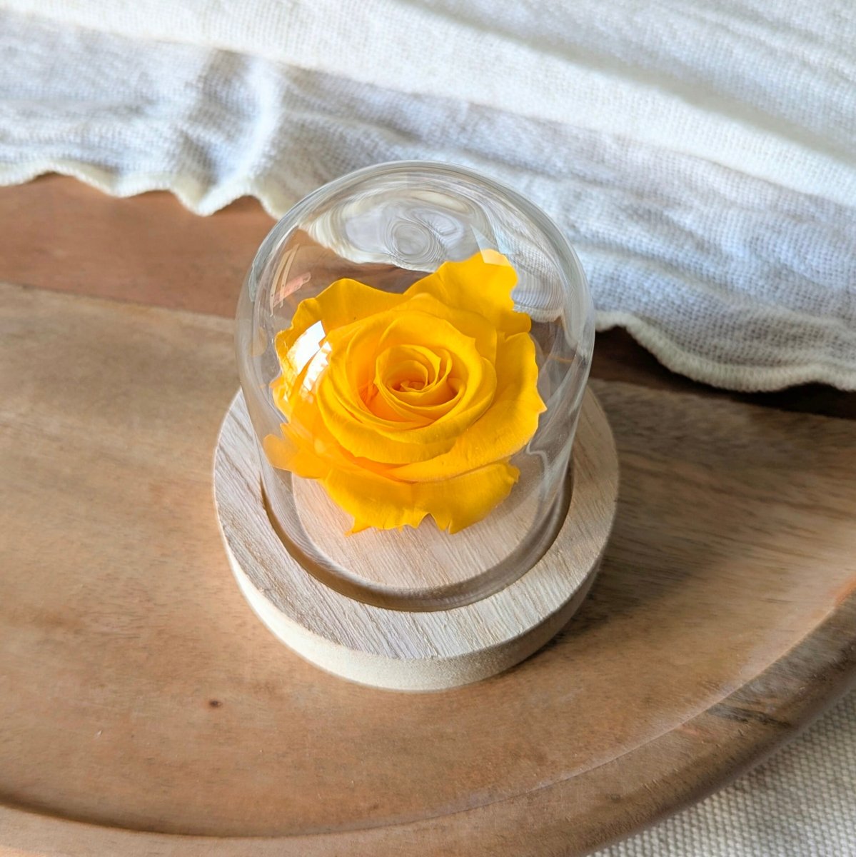 Rose éternelle sous mini cloche en verre, Valentina – Image 6