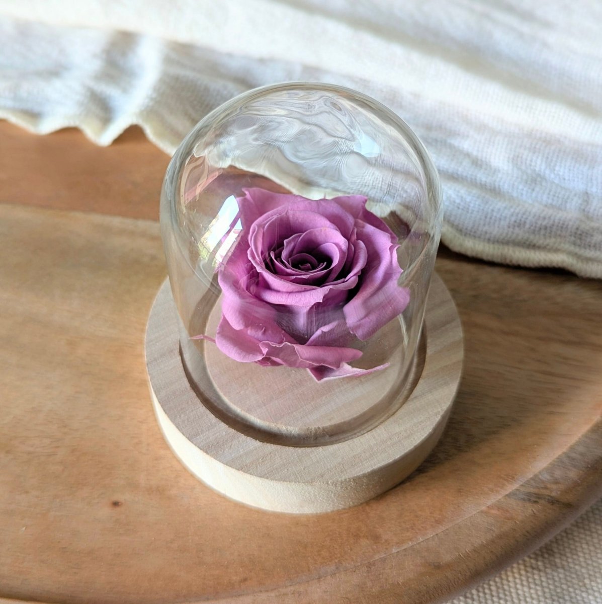 Rose éternelle sous mini cloche en verre, Valentina – Image 7