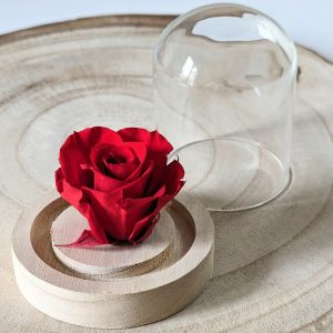 Rose éternelle sous mini cloche en verre, Valentina