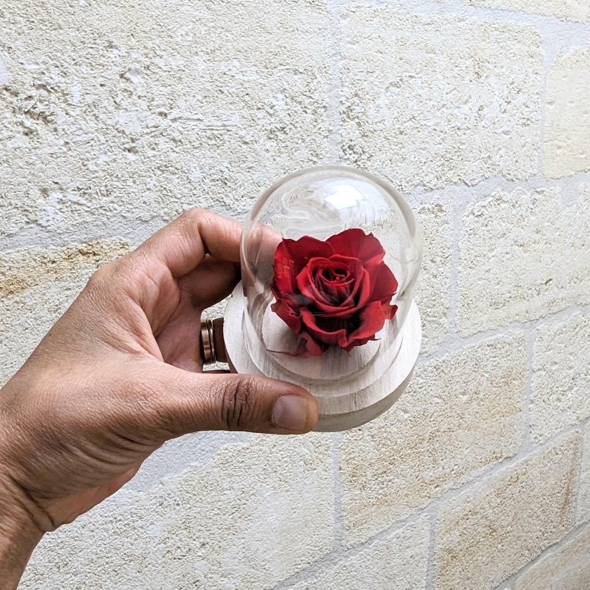 Rose éternelle sous mini cloche en verre, Valentina – Image 3