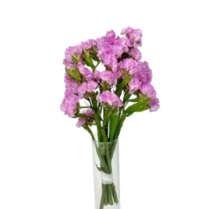 Statice rose pastel Mini Bouquet, Complément, Box DIY